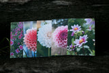 Dahlia Greeting cards pack 2