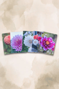 Dahlia Greeting cards pack 3