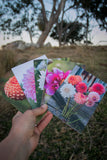 Dahlia Greeting cards pack 3