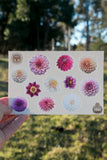 Sticker - Mini Dahlias - Matte waterproof vinyl