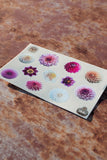 Sticker - Mini Dahlias - Matte waterproof vinyl