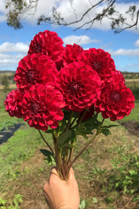 Everbloom Blood Moon