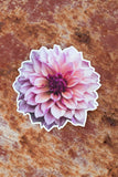 Sticker - Everbloom Chakra - Matte waterproof vinyl