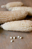 Popcorn seeds - Amish Butter
